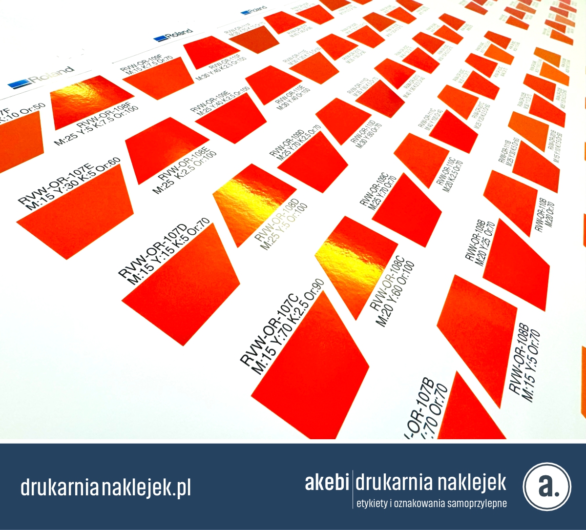 color versa system roland 